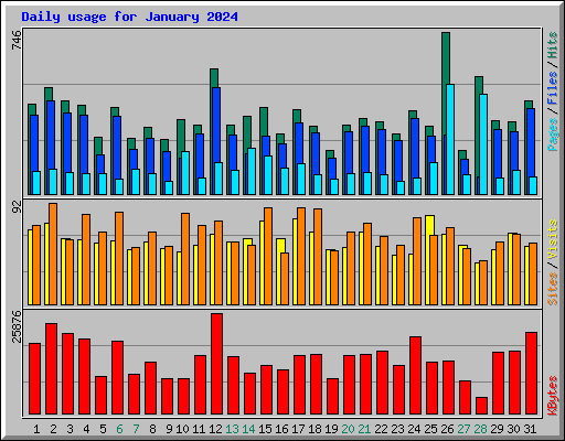 Daily usage for January 2024