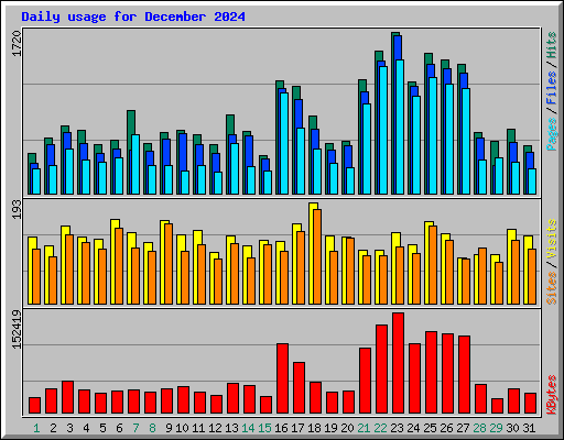 Daily usage for December 2024