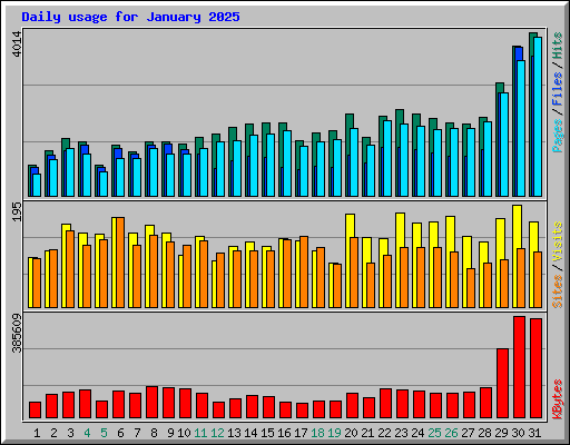 Daily usage for January 2025