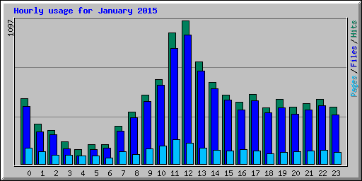 Hourly usage for January 2015