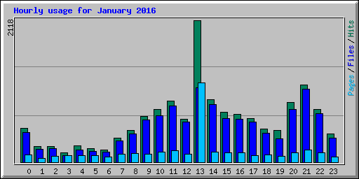 Hourly usage for January 2016