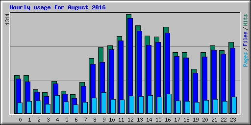 Hourly usage for August 2016