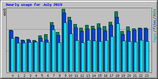 Hourly usage for July 2019