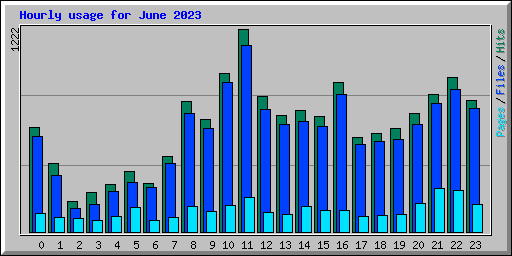 Hourly usage for June 2023