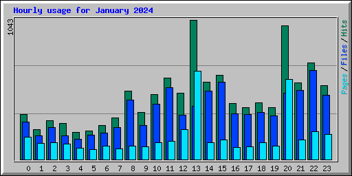Hourly usage for January 2024