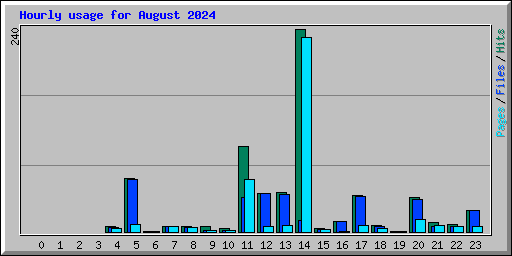 Hourly usage for August 2024