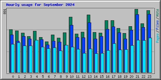 Hourly usage for September 2024