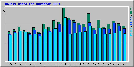 Hourly usage for November 2024