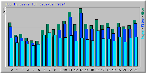 Hourly usage for December 2024