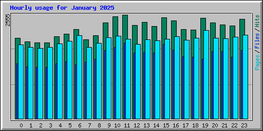 Hourly usage for January 2025