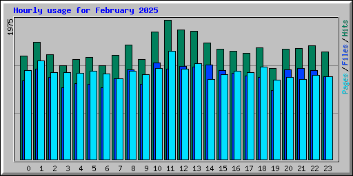 Hourly usage for February 2025