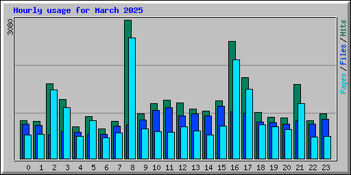 Hourly usage for March 2025