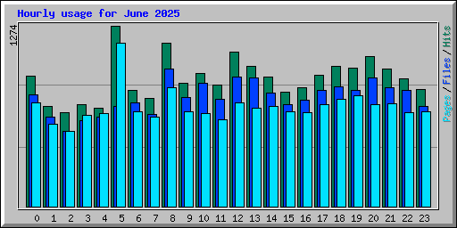 Hourly usage for June 2025